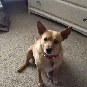 Meet your Posher, Kelsey